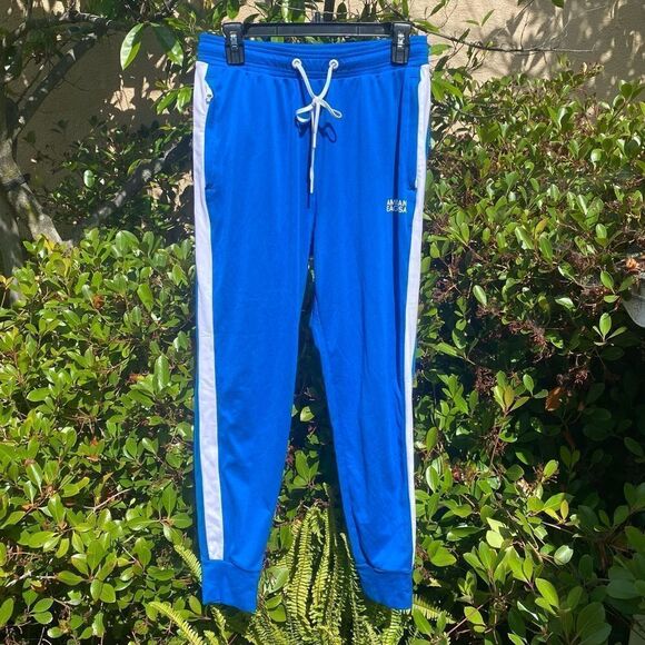 American Eagle Sweatpants/Joggers/Warmups Men Blue Active Performance. Small EUC - Picture 1 of 7